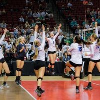 Mustang Volleyball (@mnhs_vb) 's Twitter Profile