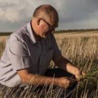 Kevin Auch (@kevinauch) 's Twitter Profile