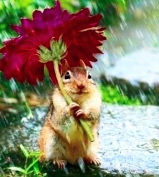 edith_hickok's profile picture. 