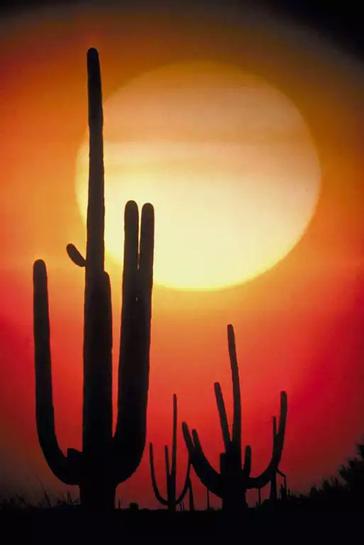Hourly Weather readings for Phoenix, Arizona