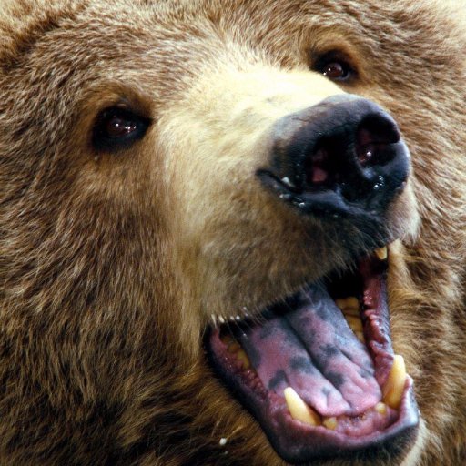 jerry_balan's profile picture. software @ starlink