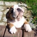 jack sudduth - @fatmanjack1986 - Twitter