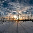 Dawn Leusner - @dawnielou031503 - Twitter