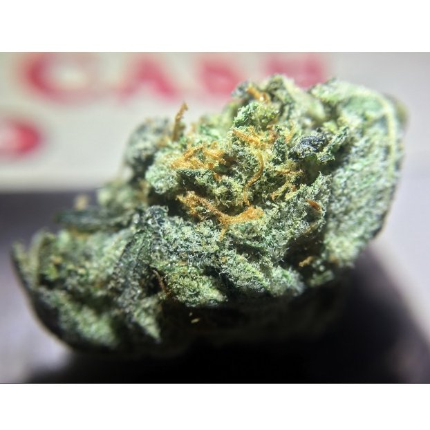 Cannabis Enthusiasts We Do Not Own Any Content DM for FREE cross promotion #Cannabis #Cannabiz #Marijuana #Weedclan #Strainhunter #SmokeSpot #GrowersChoice
