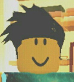 NewbFox_RBLX's profile picture. I am Da Newbfox || YouTuber || Noob and Guest and Bacon fan :)||