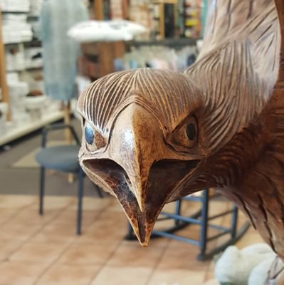 Wilkinson221's profile picture. I am the Theater Teacher at FZE.  Follow me for important class/club updates and such.