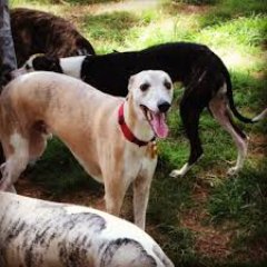 My3Sons_NJ's profile picture. I am a SW engineer who has a passion for athletic competition and is an avid fan of all Philadelphia sports teams.  I also enjoy discussing "hot-button" issues.