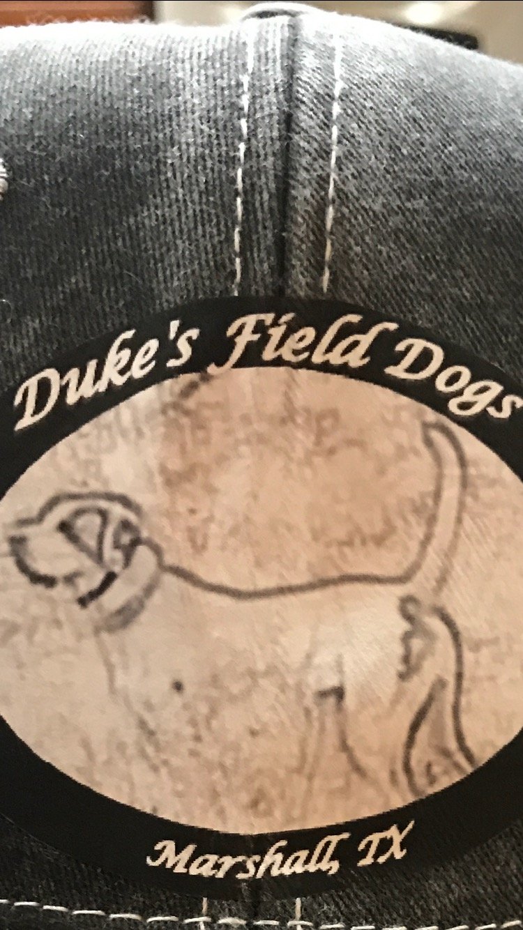 Duke's Field Dogs (DukesFieldDogs) Twitter