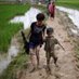 Rohingya Update