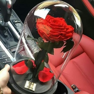 MercedesMandoki's profile picture. Fotózás ,Modell!