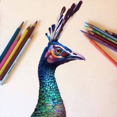 Colored pencil arts