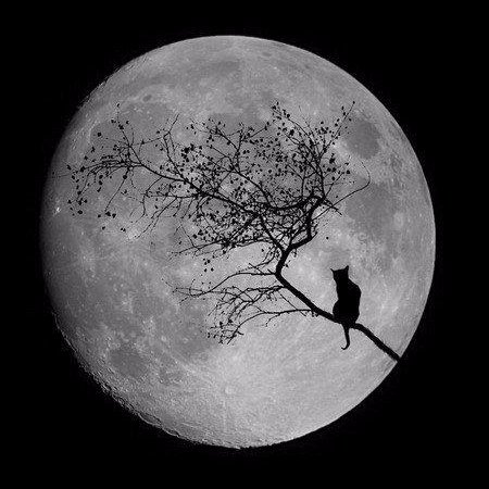 wisdomchild7771's profile picture. 「帝一の國」以降すっかりはまってつくってしまった千葉雄大さん専用垢です。フォローはしていただければ喜びます（無言でもご随意に）。過去作品も含め徐に感想をつぶやきだすことがあります。千葉君のニュースがあると、すごい勢いで検索→ツイートをしてＴＬをお騒がせすることがあります。全レスできていないことがあります🙏