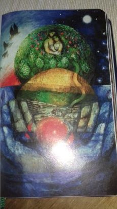 Kalimero35Petra's profile picture. One sees clearly only with the heart.