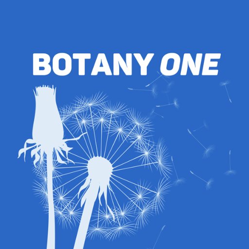 botanyone Profile Picture