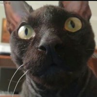 shybottom82 (@shybottom82) 's Twitter Profile