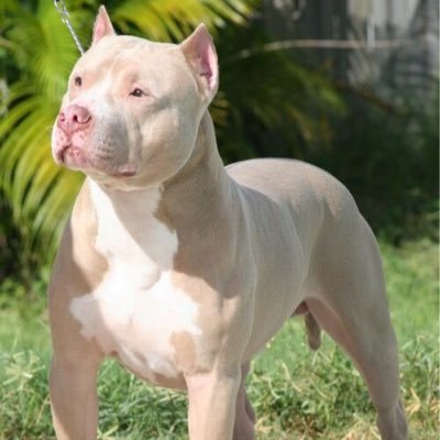 _DoXyS_'s profile picture. 