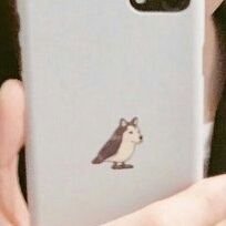 IM JUST A PHONE CASE BUT IM ALWAYS NEAR YOUR BIAS HBU