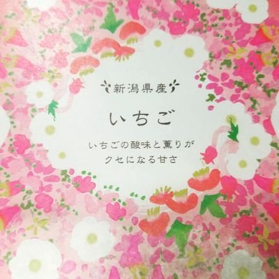 新潟県産はちみつ🐝🌼
自分たちの手でみつばちを育て 採蜜 販売しています！
InstagramやFacebookもやってます😊 #橋元養蜂