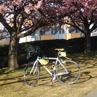 Cova (@koba6777) Twitter profile photo
