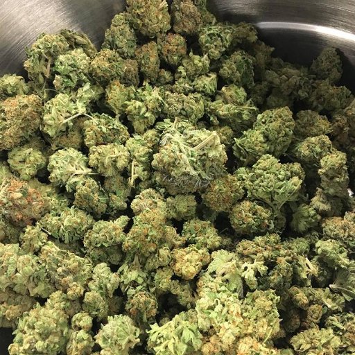 Top grade strains available #marijuana #weed #420 #moonrocks #stoners #cannabis #cbd oil #smokers #medical MJ DM me for instant dlvry Call 7704672540🤢🤢👁️👊✌️