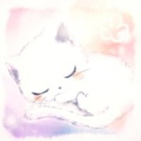 さくら×ひまわり@イベント大好き (@sakura12dream) 's Twitter Profile