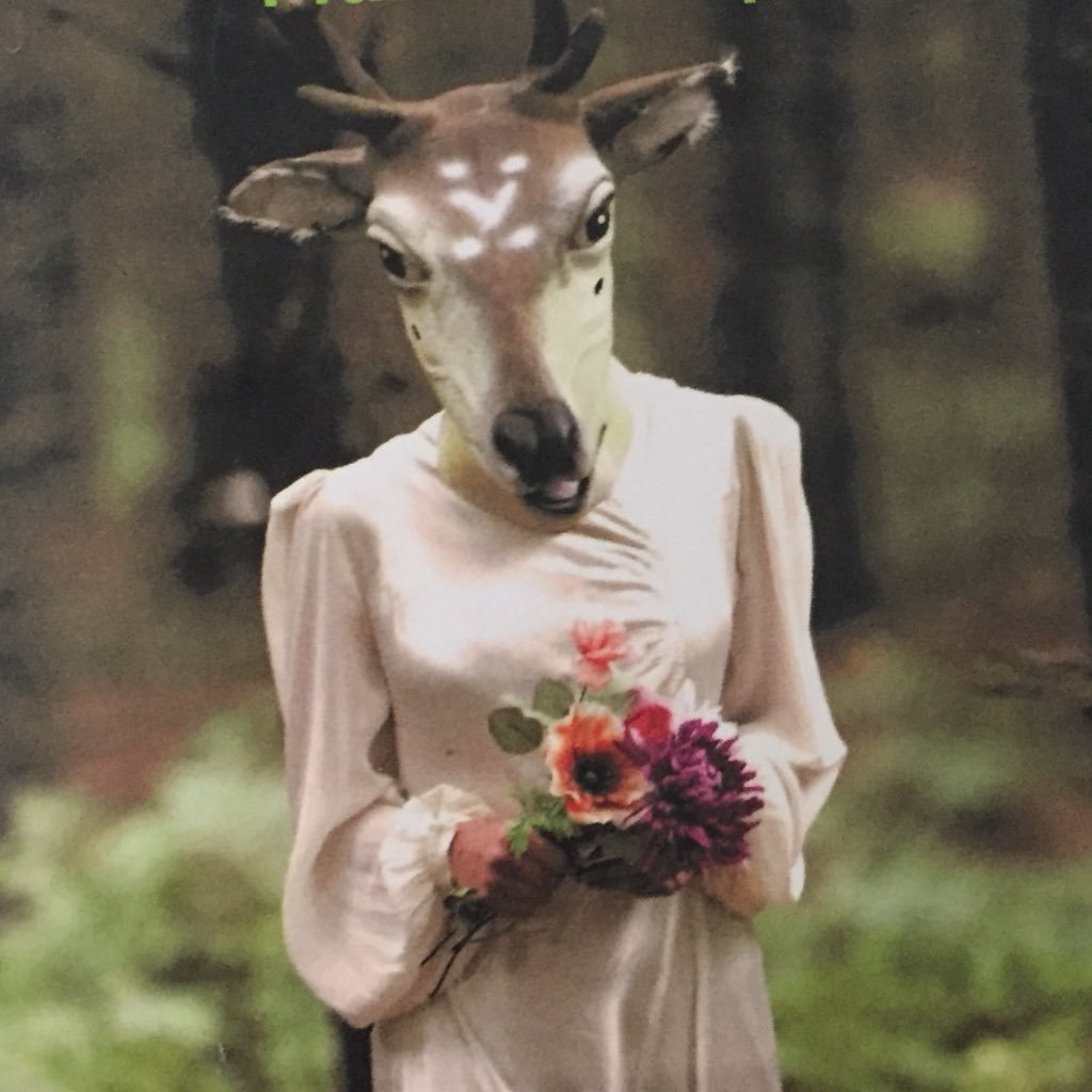 YesArtsFestival's profile picture. Yes Arts Festival a festival of the Arts across Yarrow, Ettrick and Selkirk in the Scottish Borders