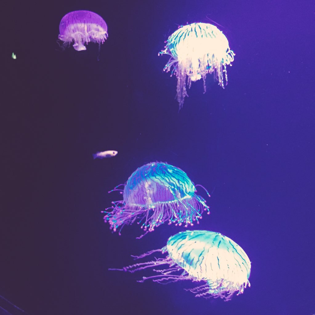 imgn_1822's profile picture. See you next life!