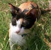 artitorz's profile picture. 