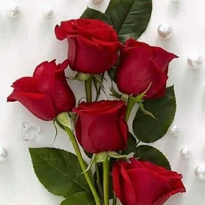 MLavanya13's profile picture. 