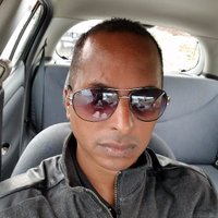 zeray (@zeray) 's Twitter Profile