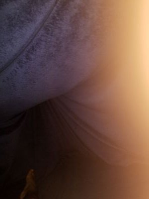 EmPtY_nEsSs's profile picture. Cowgirls are the best