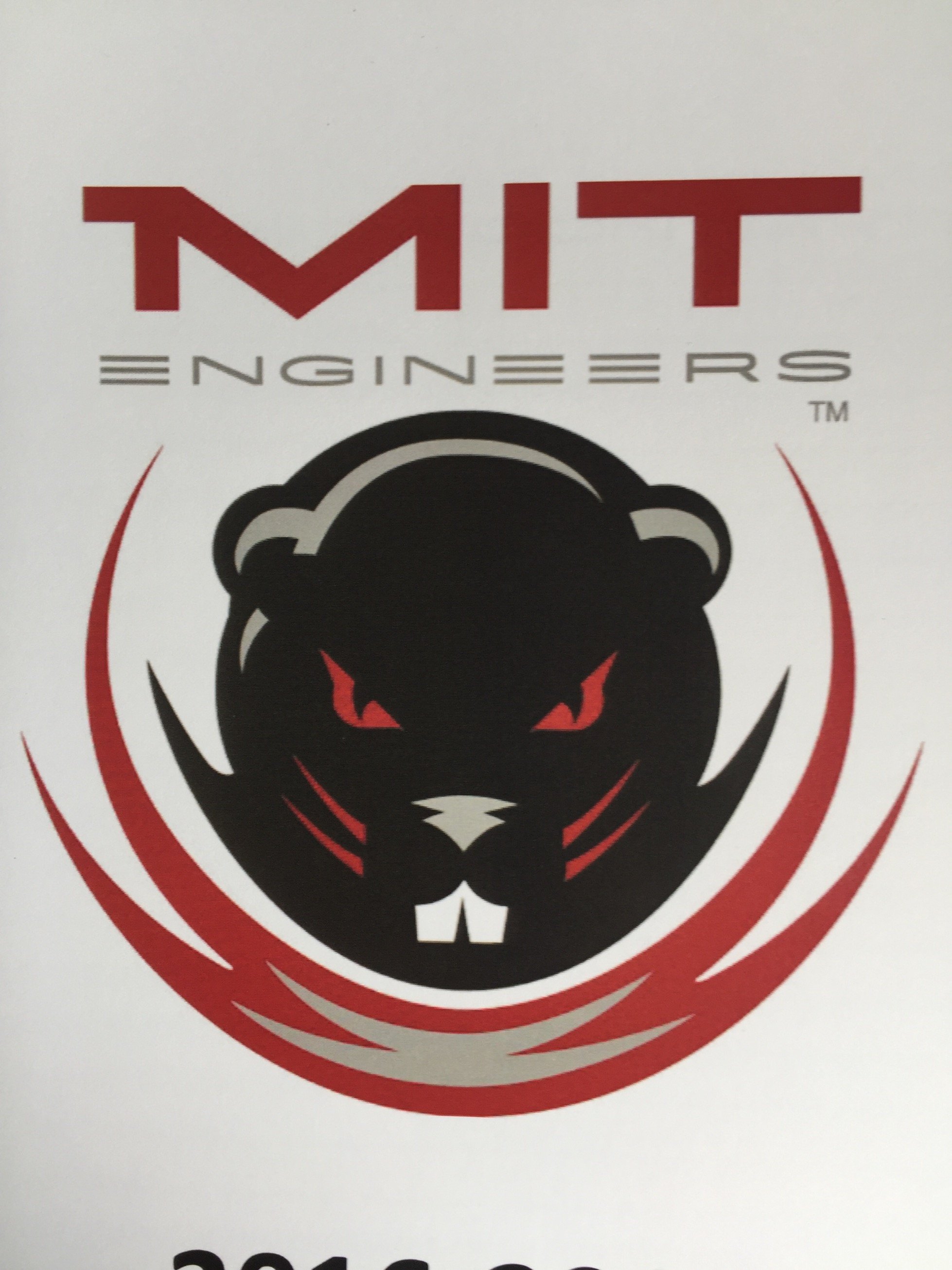 MIT Men's Volleyball Profile