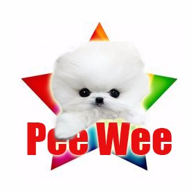 Pee Wee Fun Toys is a channel where we open a lot of surprise toys for kids, learn colors, learning videos for preschools, kids, children, babies and toddlers.