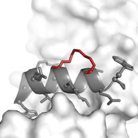 StapledPeptidePapers (@peptidepapers) 's Twitter Profile Photo