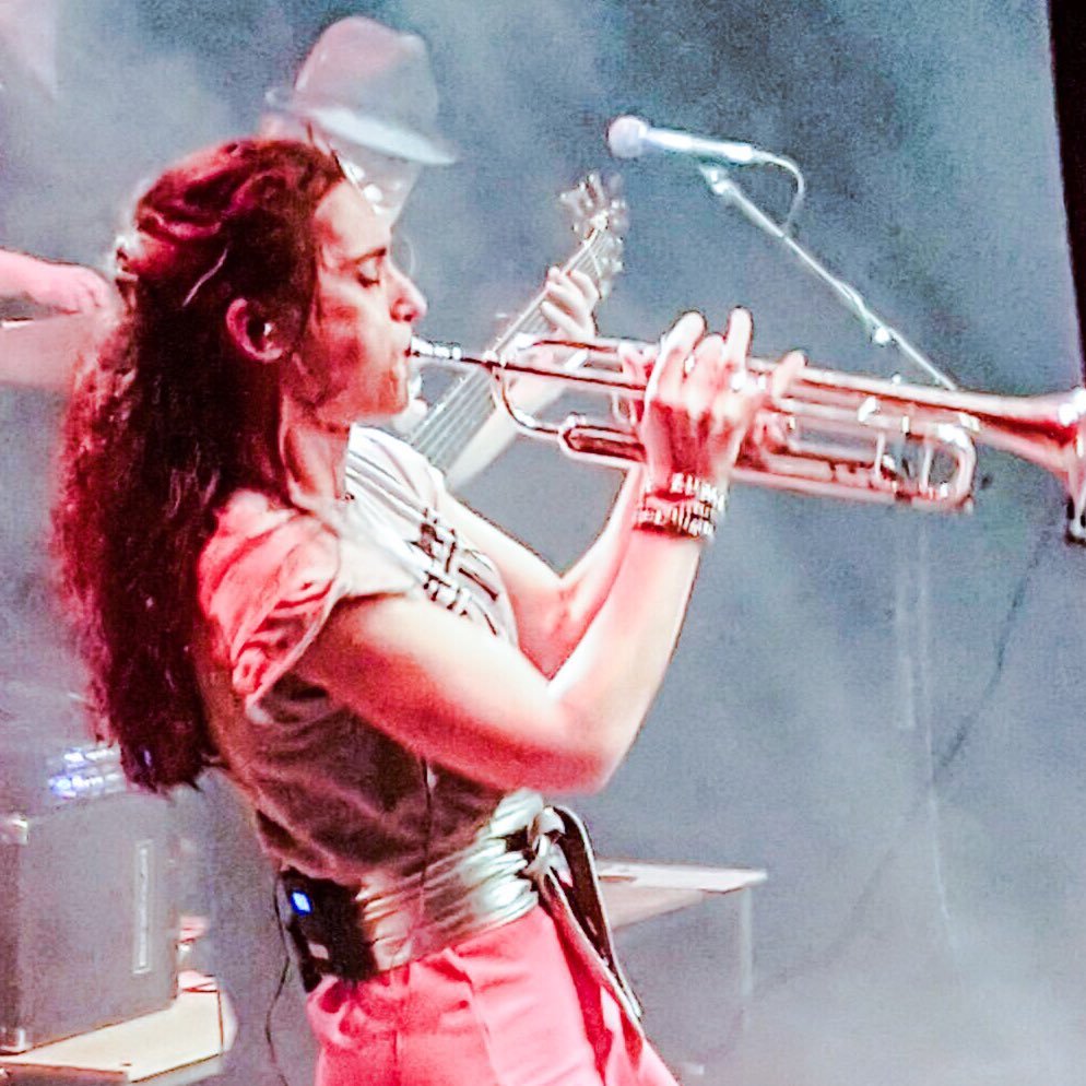 Trumpet/Flugelhorn/Arranger/Composer/Musical Director/Music Educator