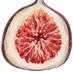Fig + Honey Catering (@fig_honey) Twitter profile photo Fig + Honey Catering (@fig_honey) Twitter profile photo