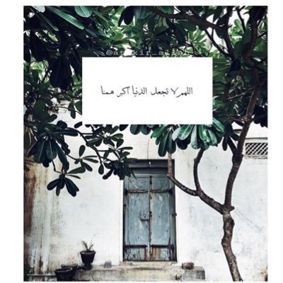 هو ربُ قلبي ، اللهم أجعله شاهدٍ لنا لا علينا ..  🕊🍃