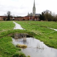 Harnham Water Meadows (@harnhamwmt) 's Twitter Profile