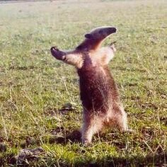 LuisNavarro167's profile picture. Mundo Musical