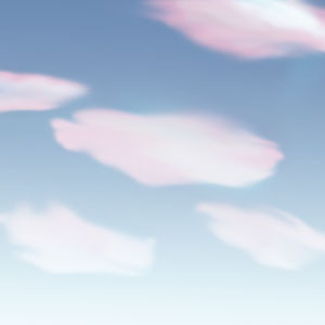 ehxhfn's profile picture. 