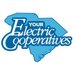 Electric Cooperatives of South Carolina (@SCcooperatives) Twitter profile photo