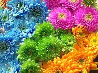 @Solotu 😍❤💋🌷😚😚😚😚
@MiAmor😍❤💋🌷😚😚😚😚
