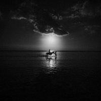 ^ احمد الحرآزي ~ (@aboaradh2010) 's Twitter Profile