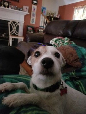 Marc196026's profile picture. 