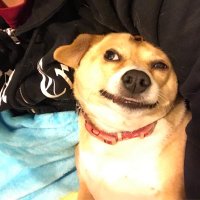 Delilah (@daniquing) 's Twitter Profile