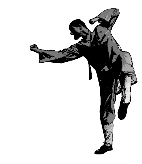 ShaolinQiflow's profile picture. Qi Gong, Taiji, Kungfu, Selbstverteidigung