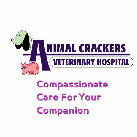 AnimalCrackerVH's profile picture. Animal Crackers Veterinary Hospital in Zanesville
