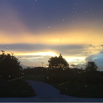 meshworks101's profile picture. i believe in nature, our basic life elements, life cycle and equality for LGBT RIGHTS