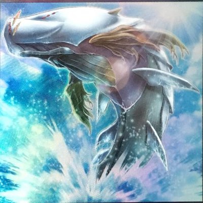 小魚 Students 魚デッキ 高打点出されるとアシゴで殴ります 決闘者や遊戯王 が好きな人がrtしてくれて未だ見ぬ決闘者や遊戯王が好きな人がそれを見てきっとフォローしてくれる 小魚 Students 魚デッキ 高打点出されるとアシゴで殴ります 決闘者や遊戯王 が好きな人がrtしてくれて未だ見ぬ決闘者や遊戯王が好きな人がそれを見てきっとフォローしてくれる