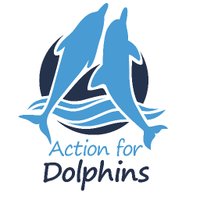 Action for Dolphins(@Act_4Dolphins) 's Twitter Profile Photo